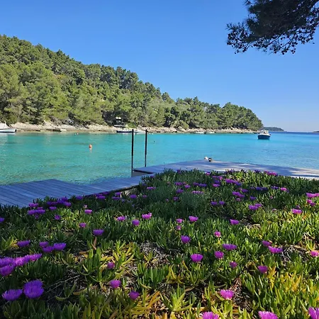 Bell'aria Korcula Vela Luka
