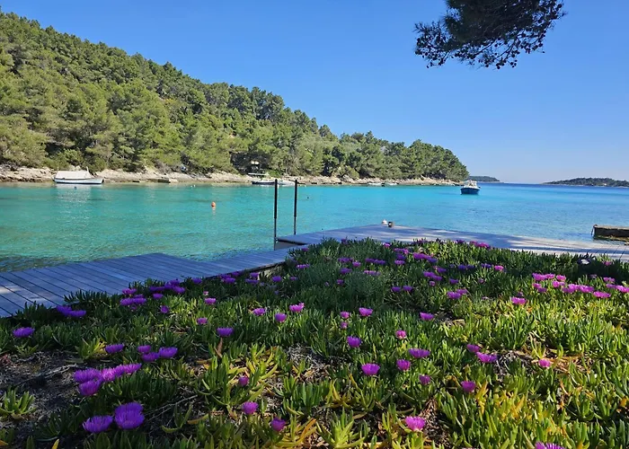Bell'aria Korcula 尼亚卢卡